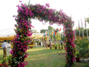 عیدالاضحی آج منائی جائے گی نماز عید کے خصوصی اجتماعات ہونگے   