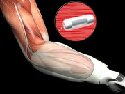 ’’الیکٹرکس‘‘ کی مدد سے امریکی فوجیوں کو ’سپر ہیومن‘ بنانے کا منصوبہ  
