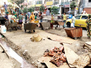 کراچیعید قربان کے بعد  