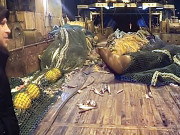 جال میں پھنسنے والی پانی کی بلی نے فشری پر دھمال مچا دیا 