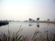 میر پور خاص میں مچھلی کا شکار کرنیوالے 2 لڑکے خود موت کا شکار ہوگئے