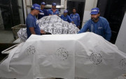 نگلیریا وائرس رواں سال 14 افراد کی جانیں لے چکا 