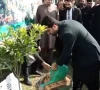 عمران خان کے ویژن کے تحت وزیراعلیٰ کےپی نے شجر مہم کا آغاز کر دیا