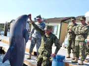 ’’جاسوس ڈولفن‘‘  