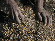 پاکستان ایک نظر میں  احساس کی چڑیا اور میڈیا کی غلط فہمی