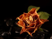 خیالی پلاؤ غزل سفر زندگی