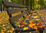 خزاں روٹھ رہا ہے