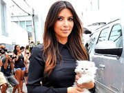 ’کم کاردشیان‘ اب سلمان خان کے ریالٹی شو ’’بگ باس‘‘ میں نظر آئیں گی   