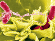 خطرہ بڑھ رہا ہے