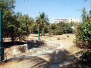 شہر کے بیشتر پارک اجڑنے سے شہری تفریحی سہولت سے محروم