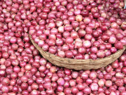 پیاز پر ٹیکس یا برآمد پر پابندی کا ارادہ نہیں وفاقی وزیر قومی غذائی تحفظ 