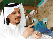 قیمتی گھڑی کو قطر کے شہزادے کی موت کا ذمہ دار ٹھہرا دیا گیا