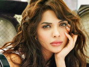 پرکاش جھا کی فلم میں ارشد وارثی کے ساتھ اہم کردار اد کر رہی ہوں سارہ لورین 