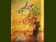 بات کچھ اِدھر اُدھر کی  بُک ریویو ’’چور لمحہ‘‘