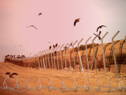 بٹے ہیں کچھ اس طرح۔۔۔