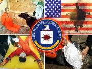 دنیا کی سب سے بڑی انٹیلی جنس ایجنسی  سی آئی اے کا خفیہ ٹارچر پروگرام