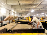 پاکستان میں جوٹ کی کاشت روشن حقائق اور سنہرے امکانات