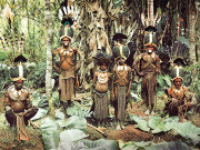 کورووائی قوم