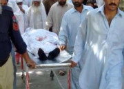 ایبٹ آباد میں شیر آبادی میں گھس  آیا حملے سے 5سالہ بچی جاں بحق 