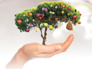 لائیں ’’پھل دار انقلاب‘‘