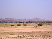 ریت ہے کوئلہ اُگلنے کو۔۔۔۔۔تھر بدل رہا ہے