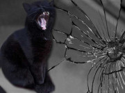 معاشرے میں رچی بسی توہم پرستی کا انسانی زندگی میں عمل دخل