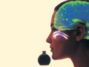 صحت حس شامہ میں کمزوری منتشر شخصیت کے مرض کی علامت ہو سکتی ہے    