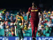 ورلڈ کپ میں بولرز بے بسی کی تصویر بن کررہ گئے