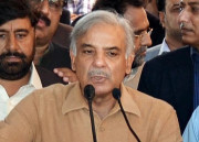 سینیٹ الیکشن میں ندیم افضل چن کو ووٹ دینے والے لیگی اراکین کا سراغ لگایاجائے شہباز شریف