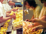 تنخواہ 40 ہزار پاؤنڈ پھر بھی کوئی ملازمت پر تیار نہیں