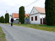 گاؤں کرائے پر دست یاب