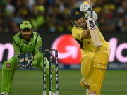 وہاب کی بولنگ پر خوش قسمت رہا شین واٹسن