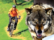 میک اور بھیڑیا