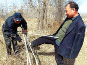 ہمتِ مرداں ۔۔۔۔۔