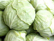 بند گوبھی کے طبّی خواص