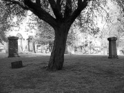 شہر خموشاں میں خاموش ملاقاتیں