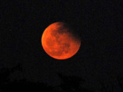 جاپان آسٹریلیا میں مکمل پاکستان میں جزوی چاندگرہن’ لہورنگ‘ چاند دیکھا گیا