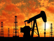 سعودی عرب کی تیل پیداوار ریکارڈ 1 کروڑ 3 لاکھ بیرل یومیہ ہوگئی