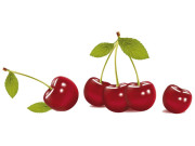 چیری کھائیں‘ جوڑوں کا درد بھگائیں 