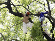 نئی دہلی میں وزیراعلیٰ کیجریوال  کے جلسے میں کسان کی خودکشی