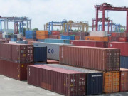 یوکرین سے درآمدی مضرصحت گندم کے17کنٹینرزضبط