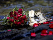 پاکستانی شادی پیسے کی بربادی