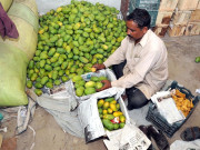 لکڑی کی پیٹیوں میں پھلوں کی برآمد پر پابندی دبئی کی کمپنیوں نے لگوائی