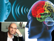 آواز کو ’ چکھنے‘ والا انسان