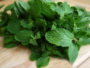 پودینہ کولیسٹرول کم اورہڈیوں کو مضبوط کرتا ہے طبی ماہرین