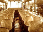 سانحہ صفورا کے بعدطاقتوروزیرداخلہ سندھ کی تقرری پرغور