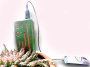 اب موبائل فون پودے سے چارج کریں