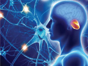 ایٹیکسیا ایسی بیماری جس میں انسان پٹھوں پر اپنا کنٹرول کھو دیتا ہے