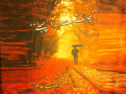 ’جانے سے ذرا پہلے‘