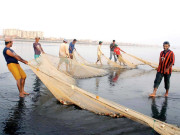 مچھلی کے غیرقانونی شکار کے خلاف وفاقی حکومت حرکت میں آگئی